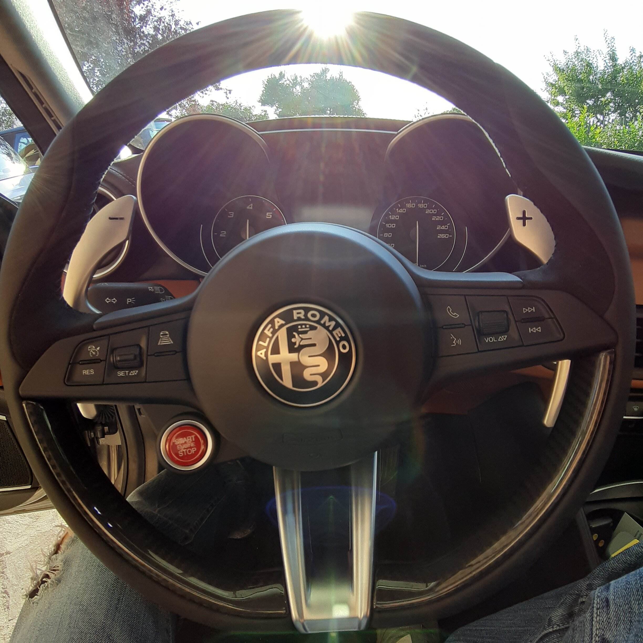 20190730_190452.jpg