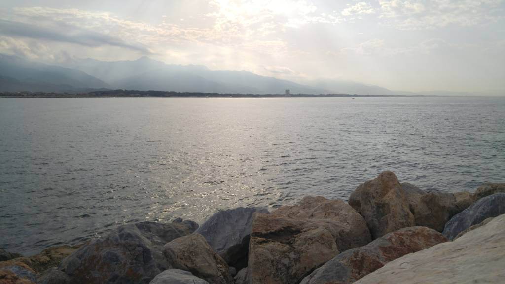 20190802_084446.jpg