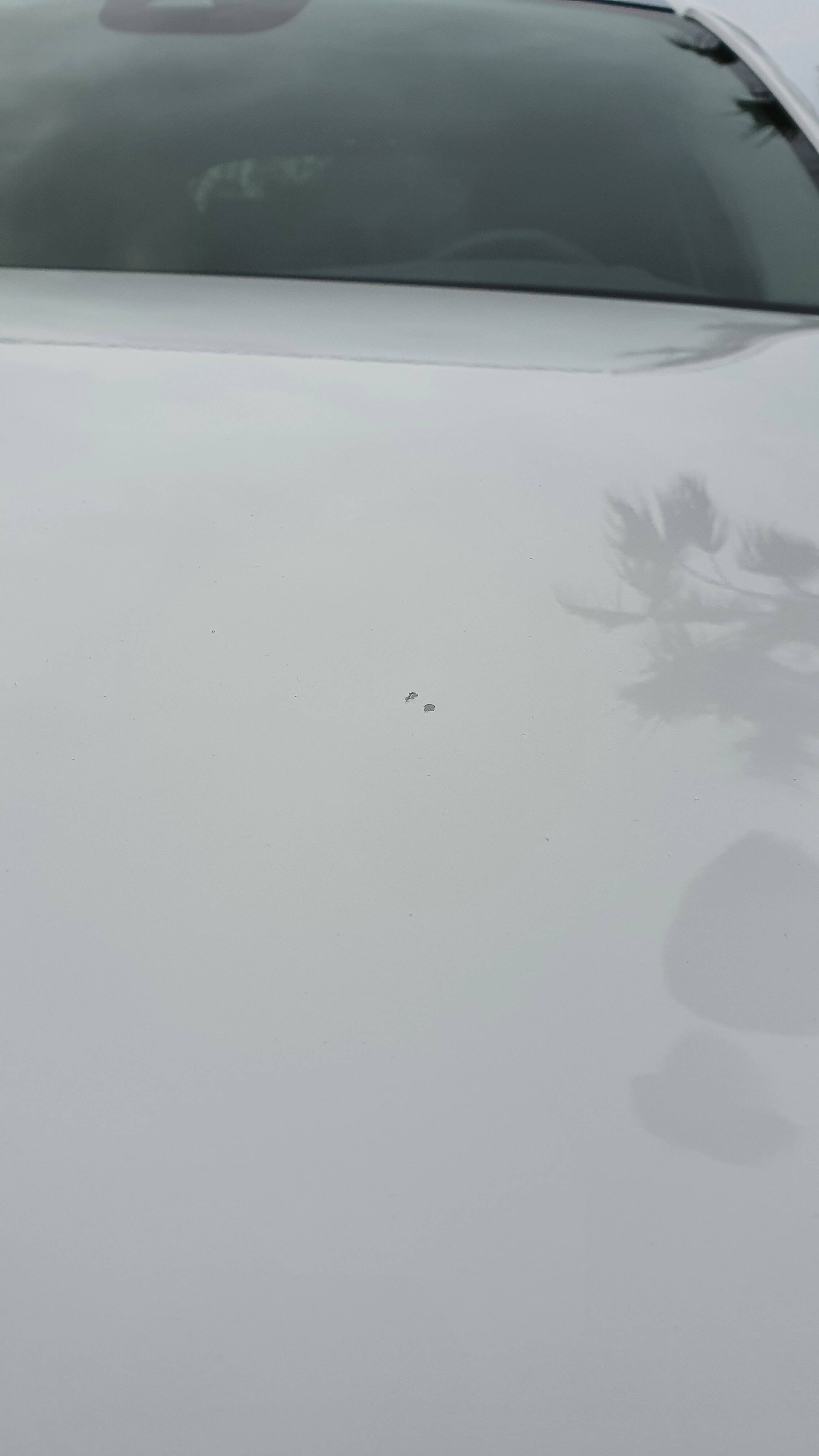 20220318_172232.jpg