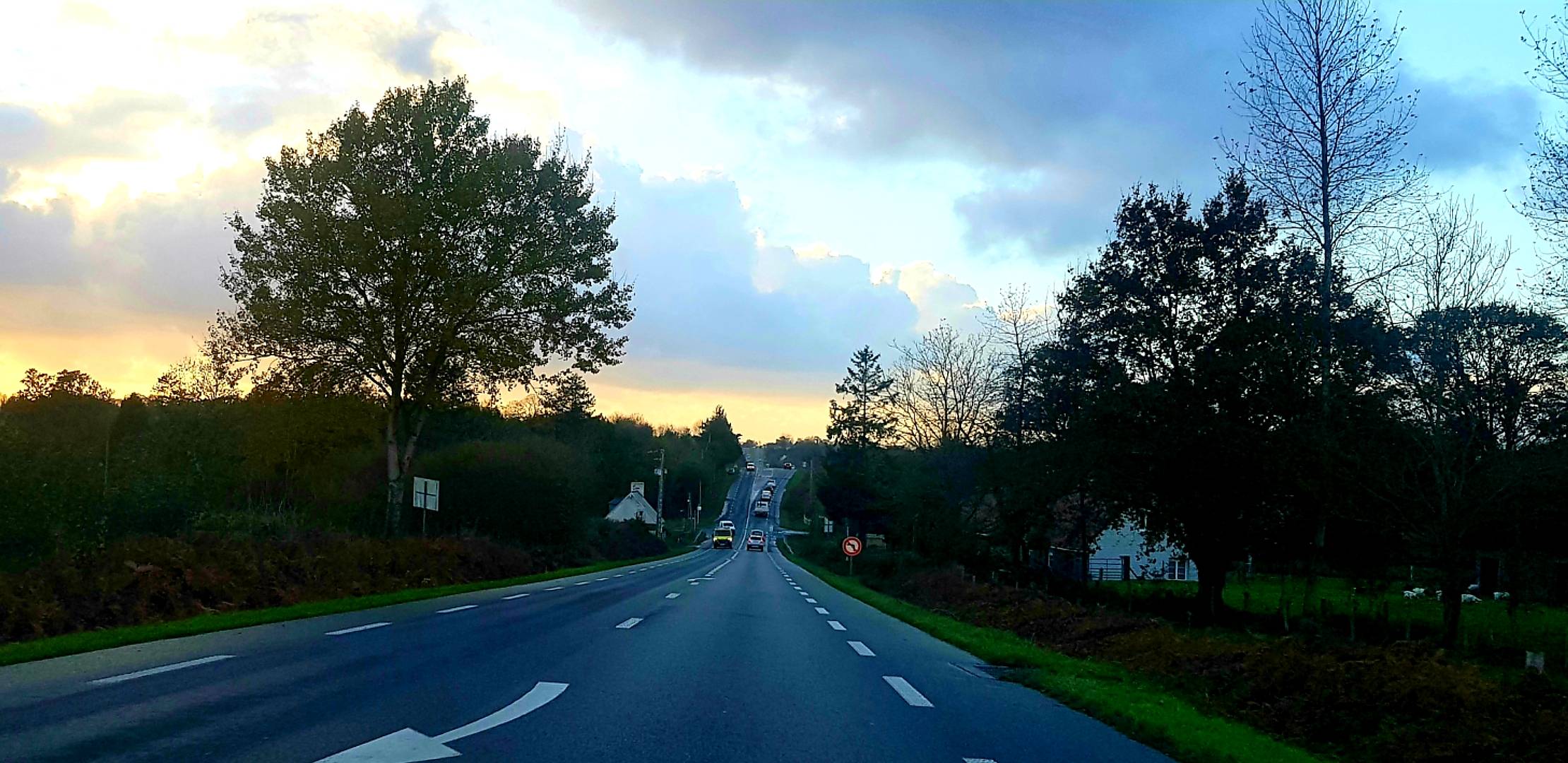 20231110_170043.jpg