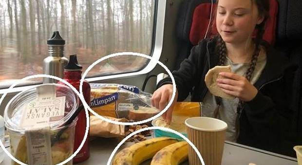 4369580_0926_greta_thunberg_foto_treno_plastica_pranzo.jpg