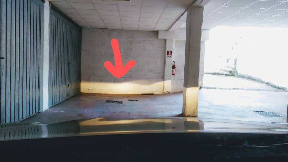 817892233.jpeg