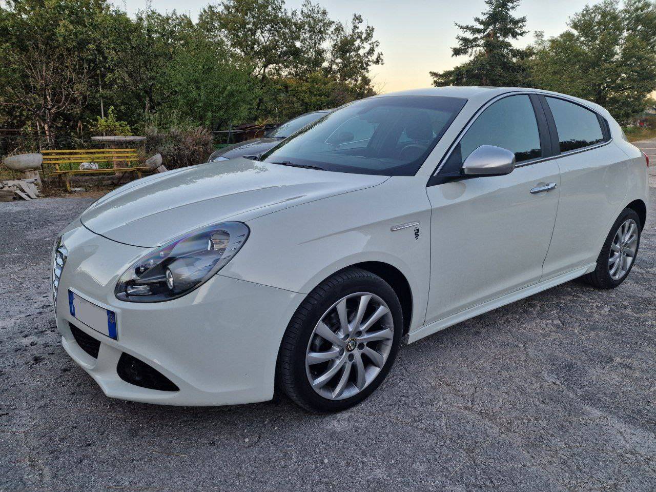 alfa 1.jpg