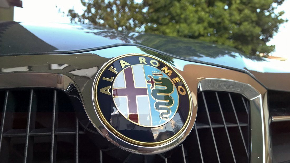 alfa (8).jpg
