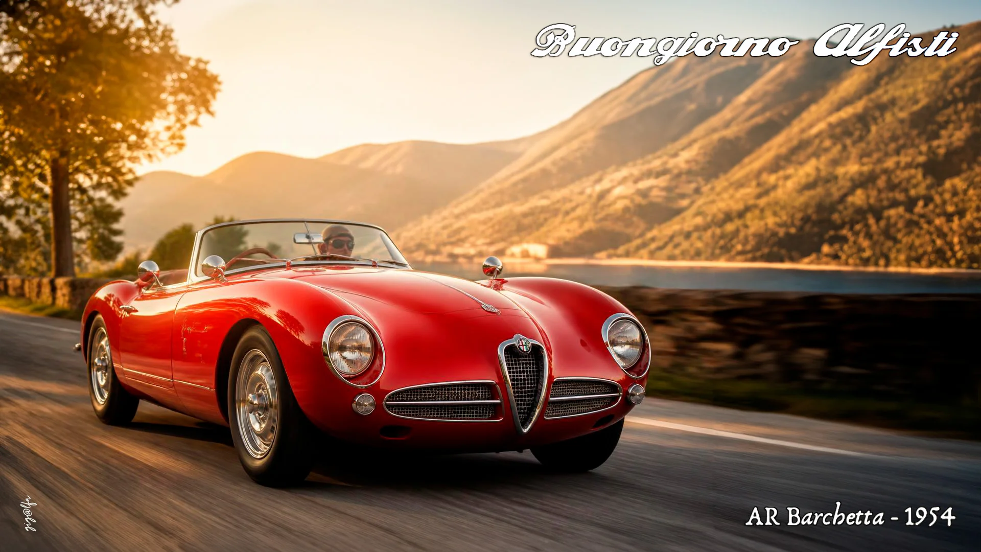 Alfa-Barchetta-1954.webp