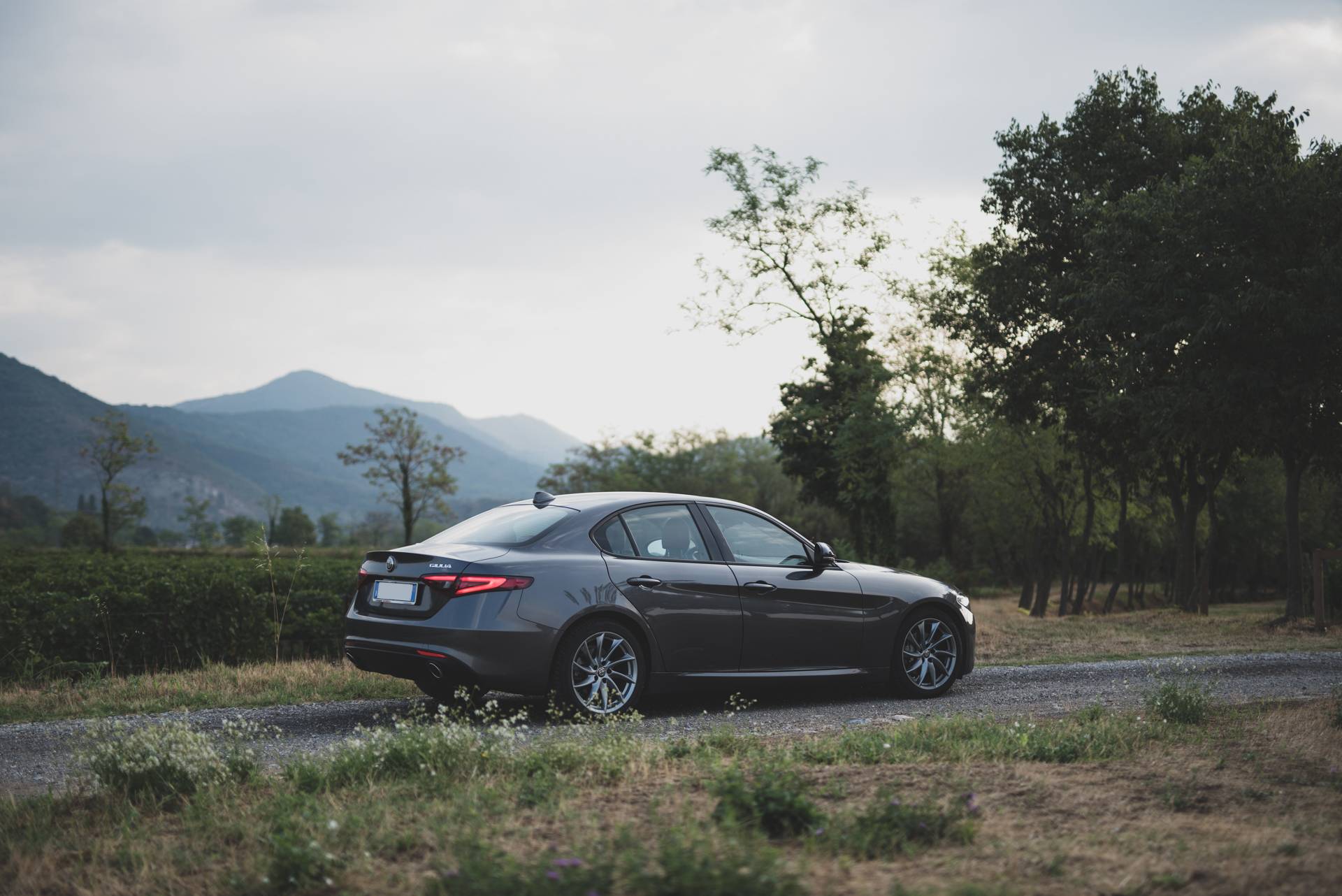 Alfa Romeo Giulia-011176.jpg