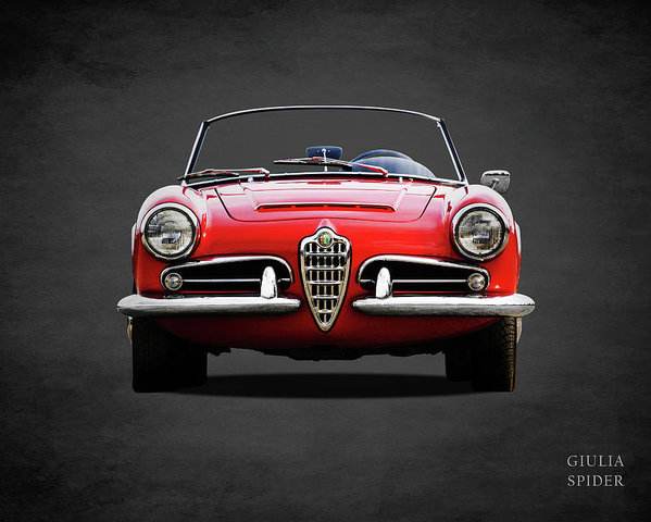 alfa-romeo-spider-mark-rogan.jpg