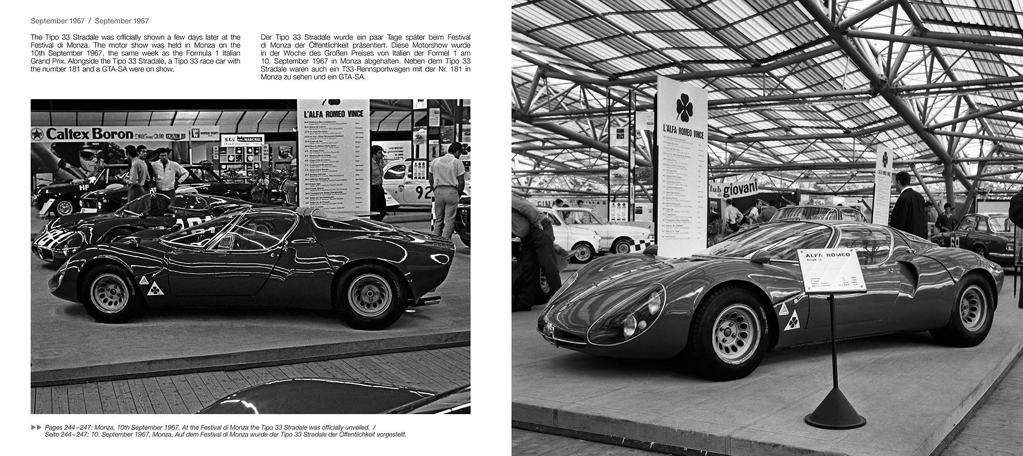 ALFA-ROMEO-TIPO-33-1967-DASSE-DINGWORT-2_0001.jpg