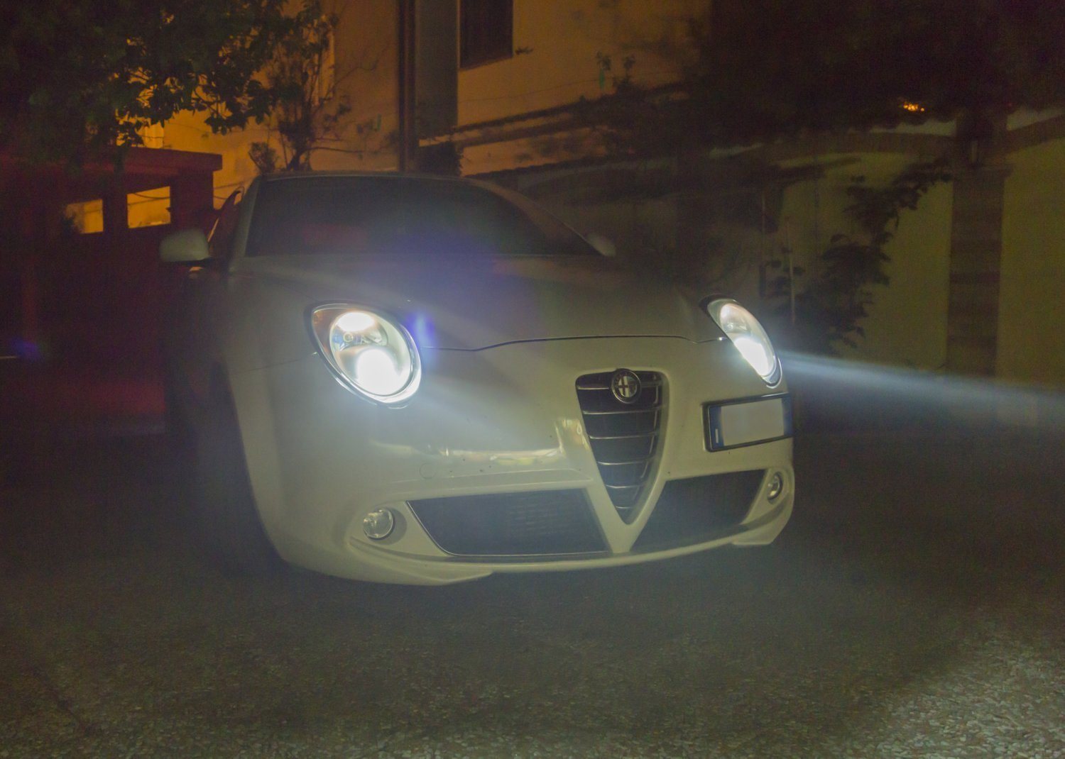 alfa1.jpg