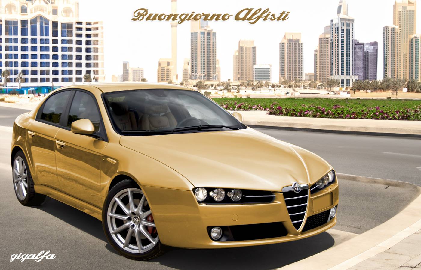 Alfa_159_GOLD.jpg