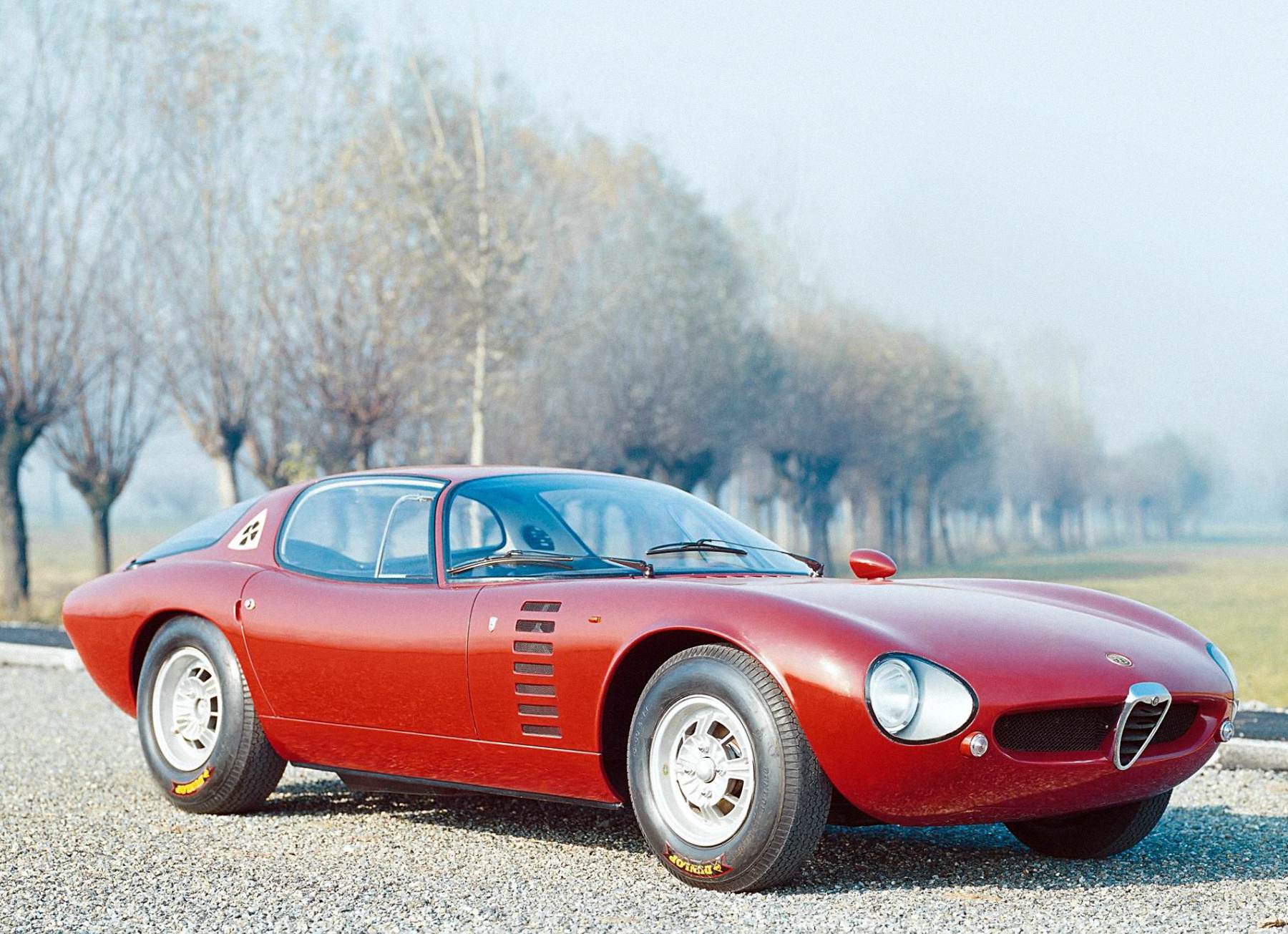 alfa_romeo_giulia_1600_canguro.jpeg
