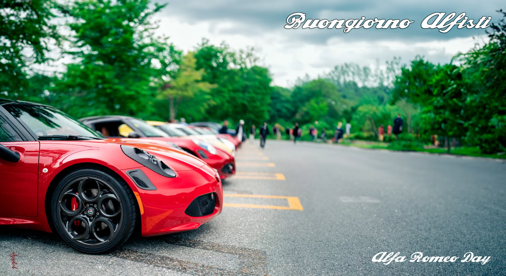 AlfaRomeoDay.webp