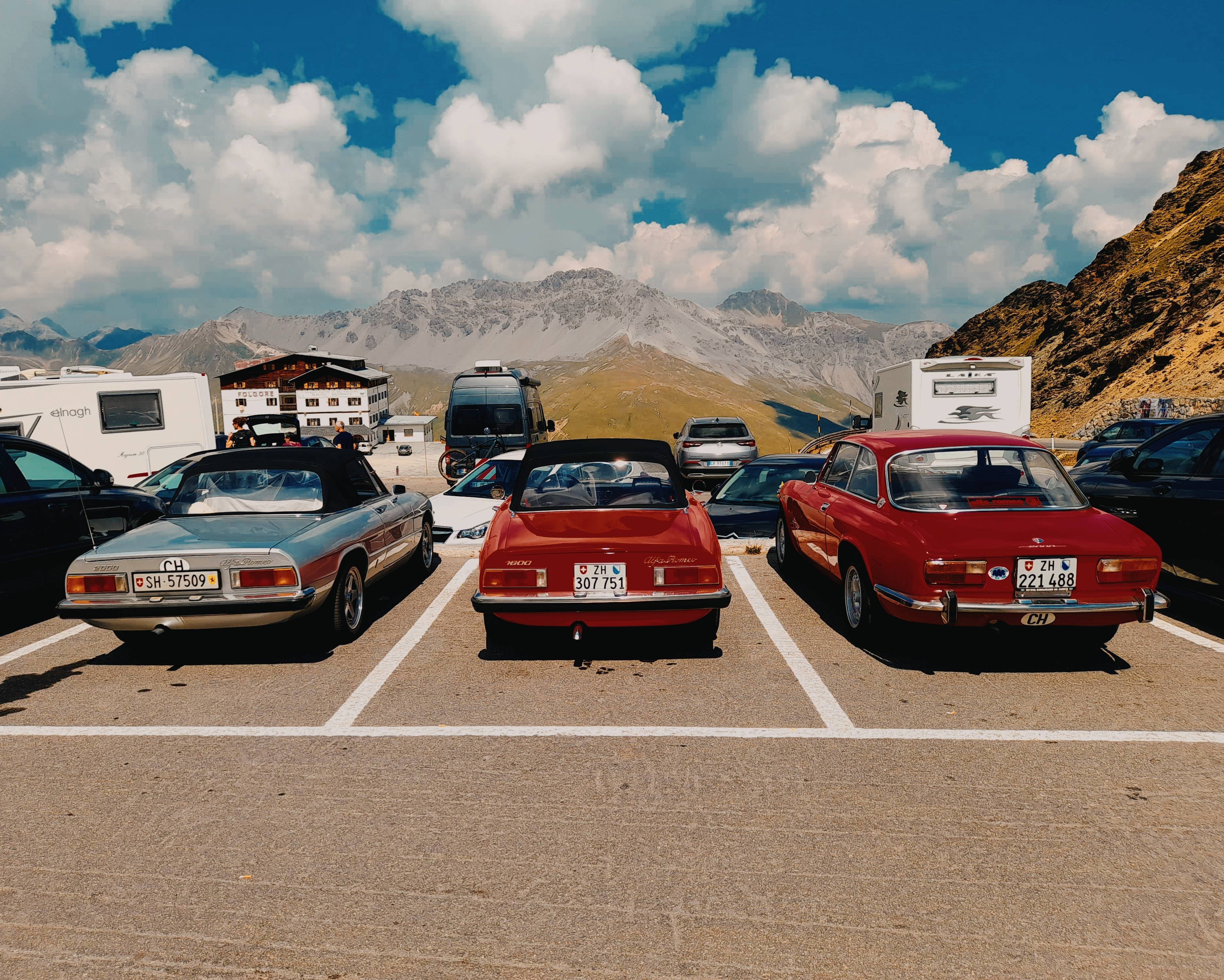 alfastelvioo.jpg alfastelvioo.jpg