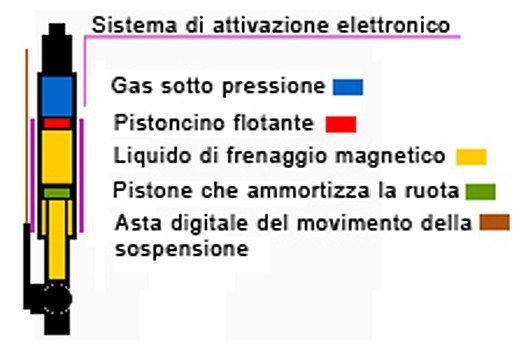 amm_digitale1.jpg
