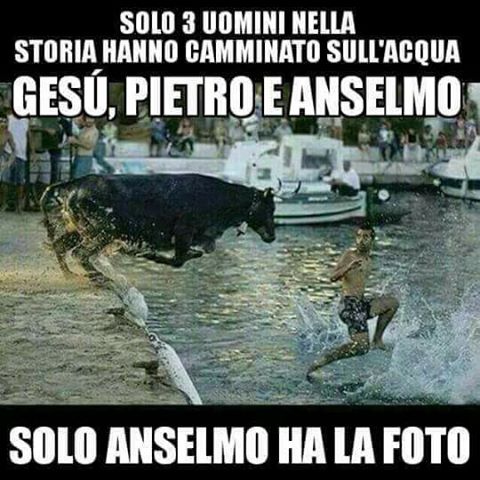 anselmo.jpg