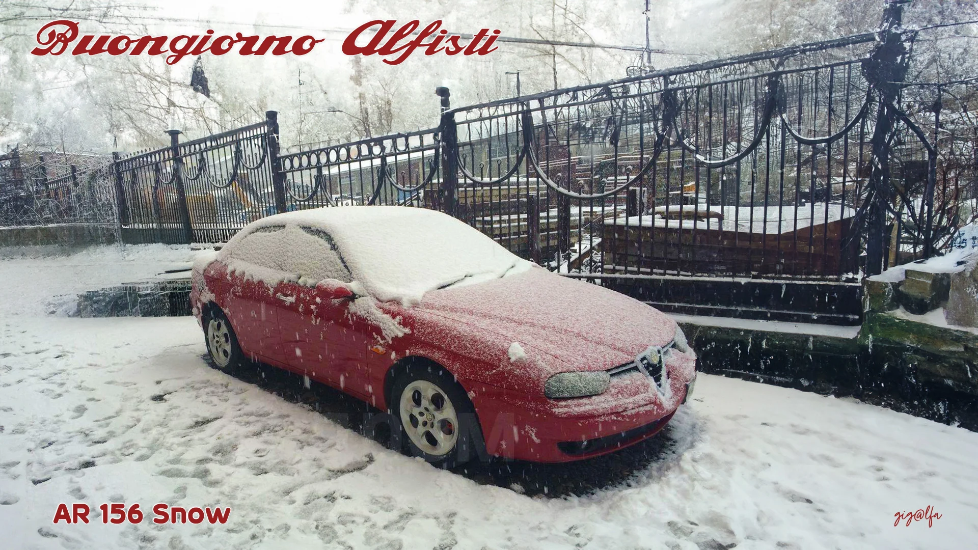 AR-156-Snow.webp