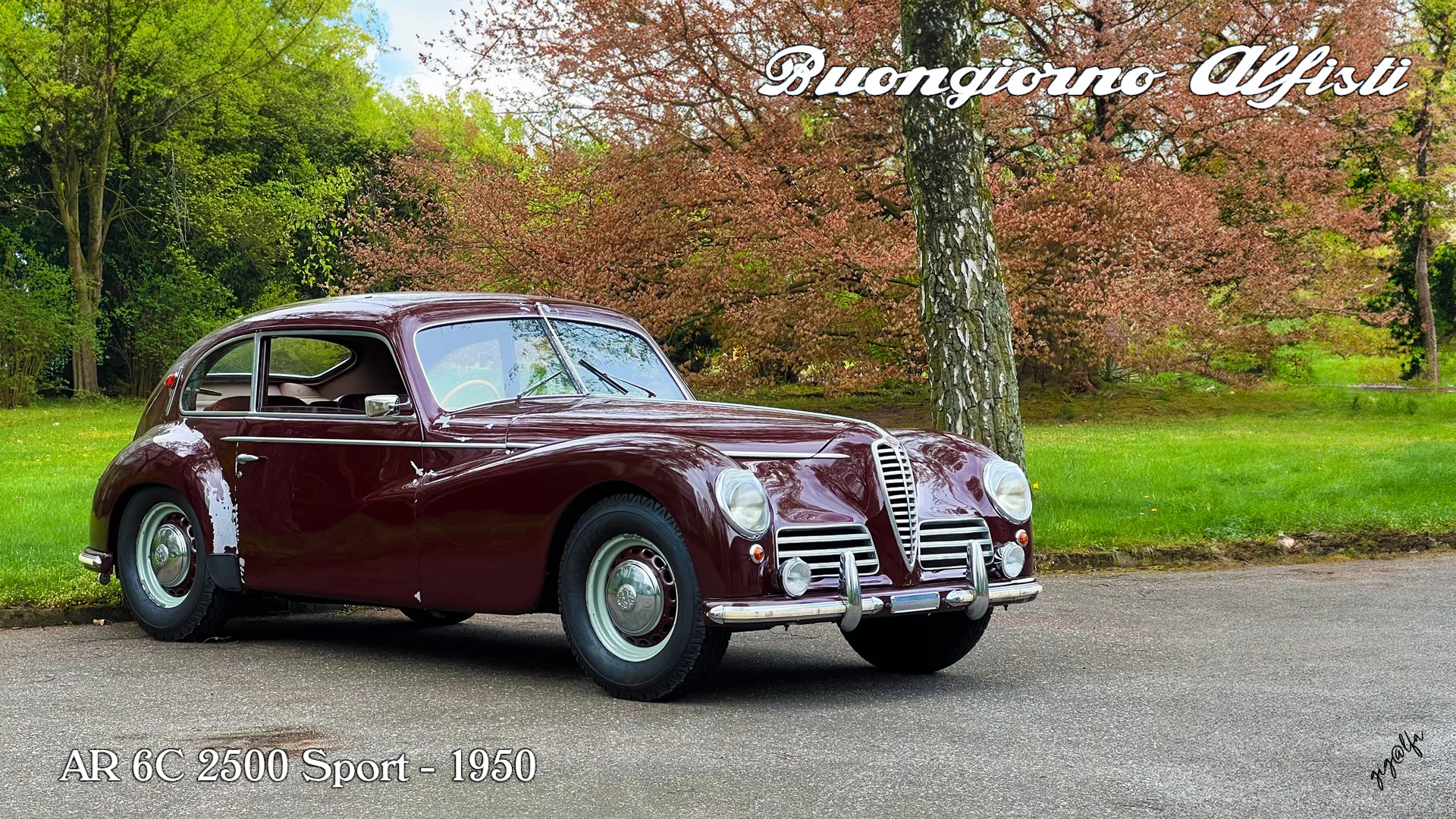 AR-6C-2500-Sport-1950.webp