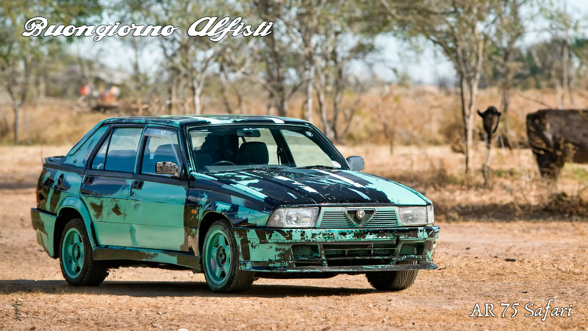 AR-75-Safari.webp