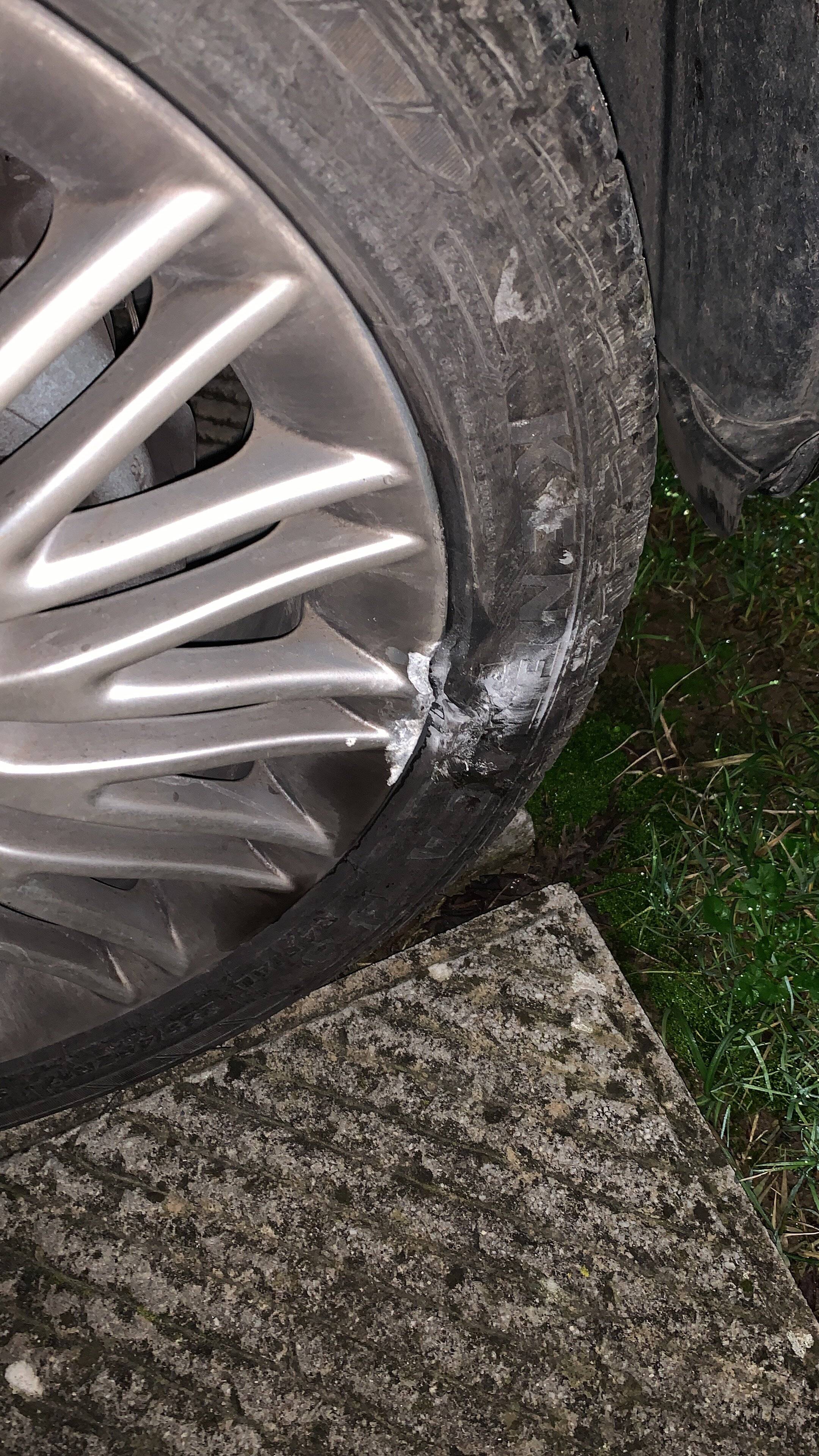 BB8BFE76-AAC0-4195-B40F-46DD296A4510.jpeg BB8BFE76-AAC0-4195-B40F-46DD296A4510.jpeg