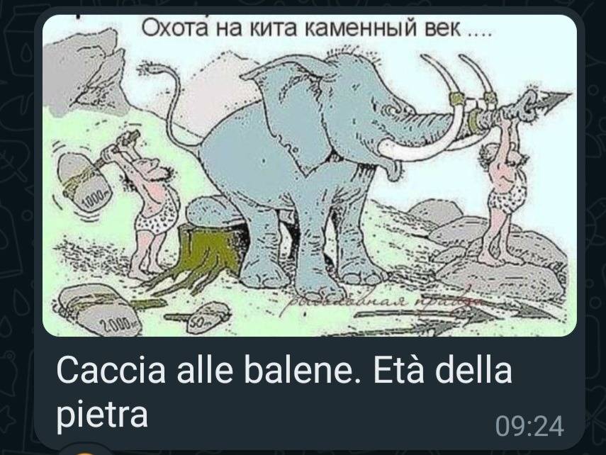 Caccia balene.jpg
