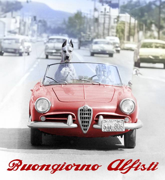 cane-duetto.jpg