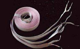 cavo-spiralato-clacson-airbag_i.2.1_risultato.jpg cavo-spiralato-clacson-airbag_i.2.1_risultato.jpg