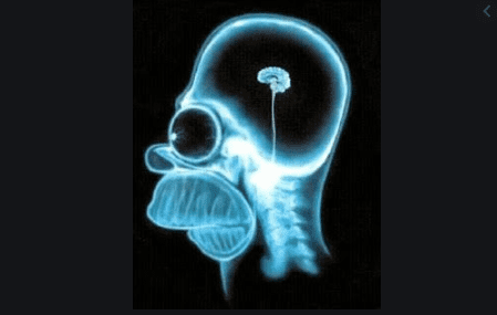 cervello.PNG