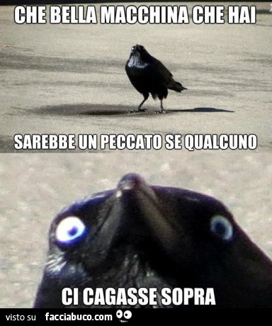 Che bella macchina.jpg