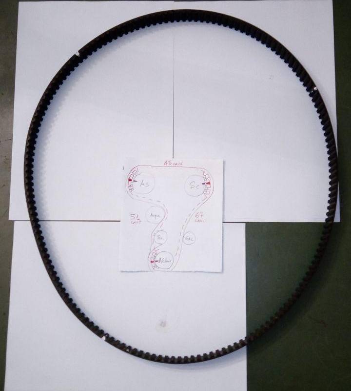 conghia distribuzione2.jpg