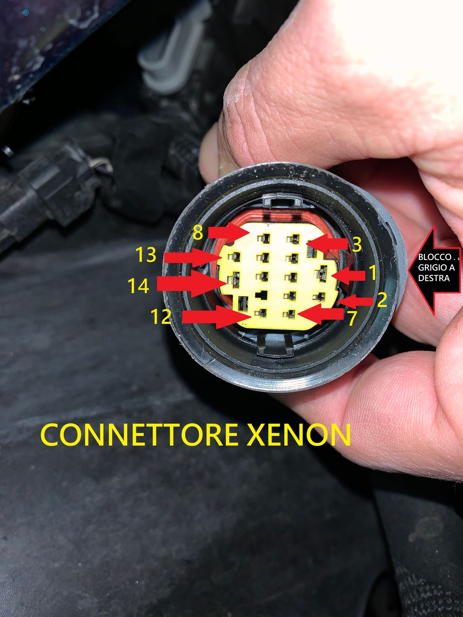 Connettore cablato xenon.jpg
