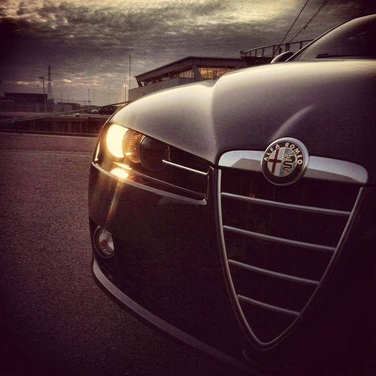 d8c33e8757dd1471b20c4c6e6986adc3--alfa--belle.jpg