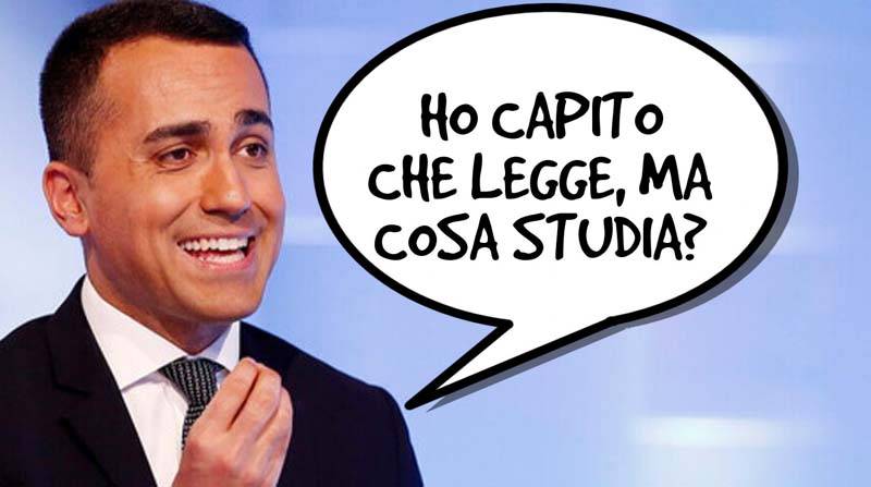 Di maio studia2-R.jpg