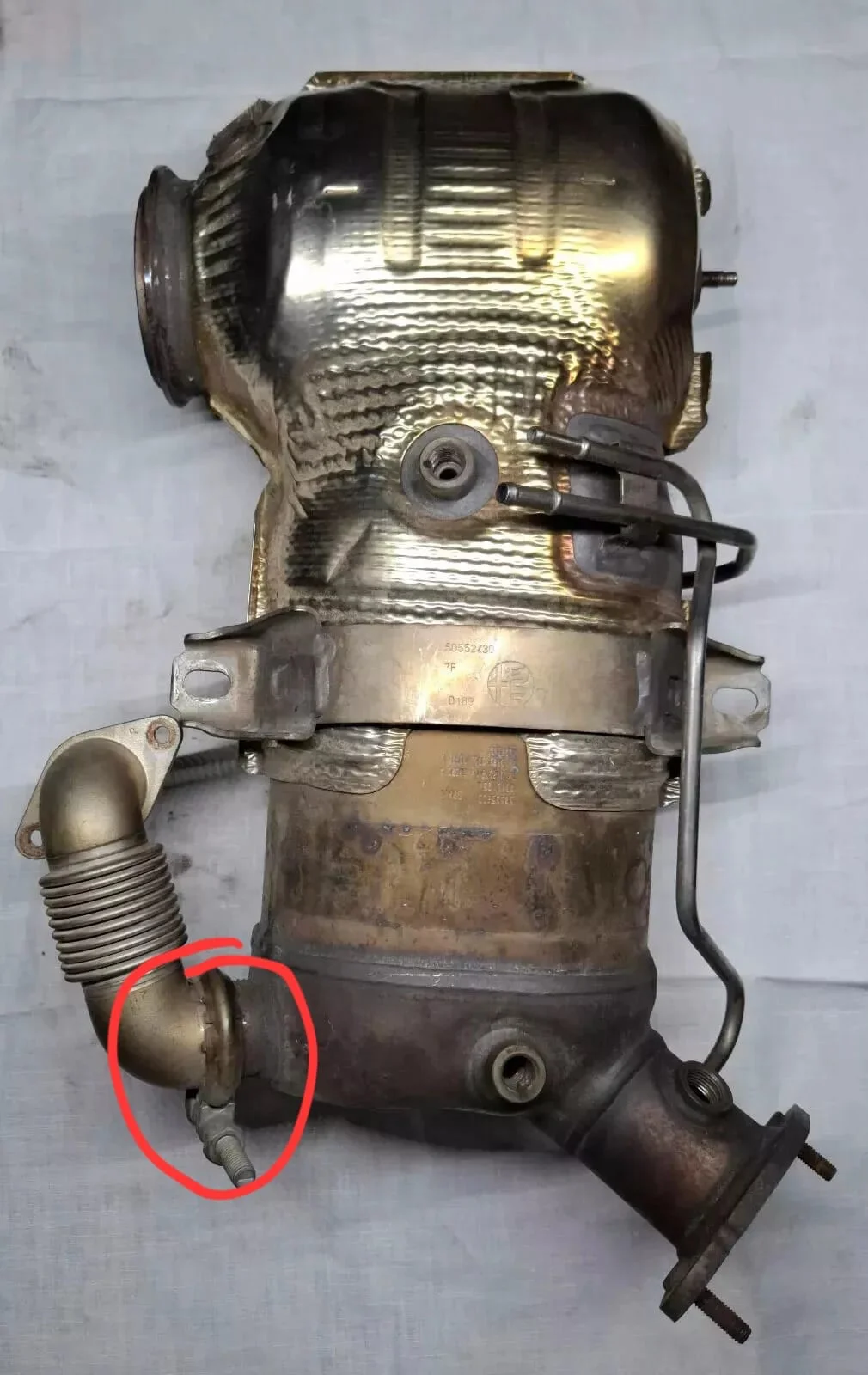 dpf segnato.webp