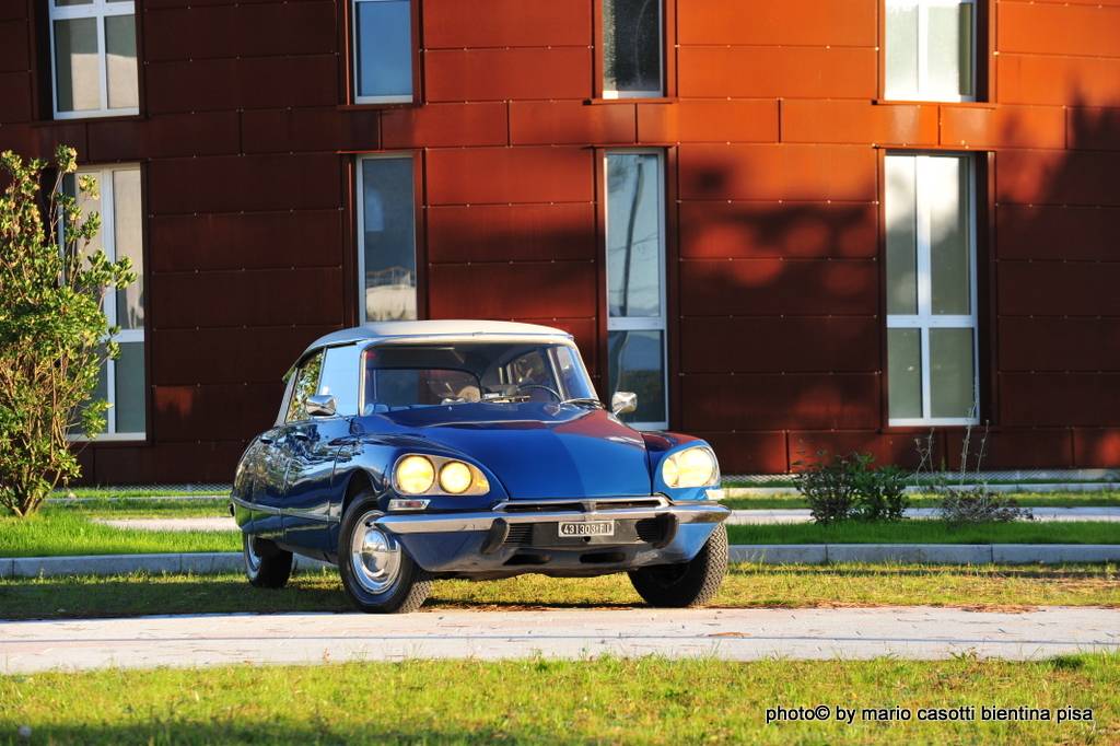 DSC_5480.JPG
