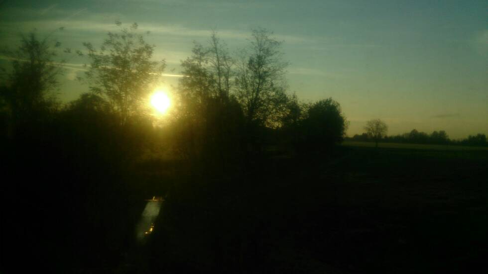 DSC_6541.JPG