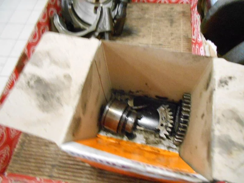 DSCN3781.webp