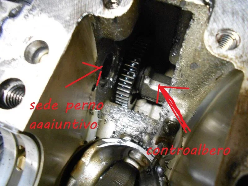DSCN3783.webp
