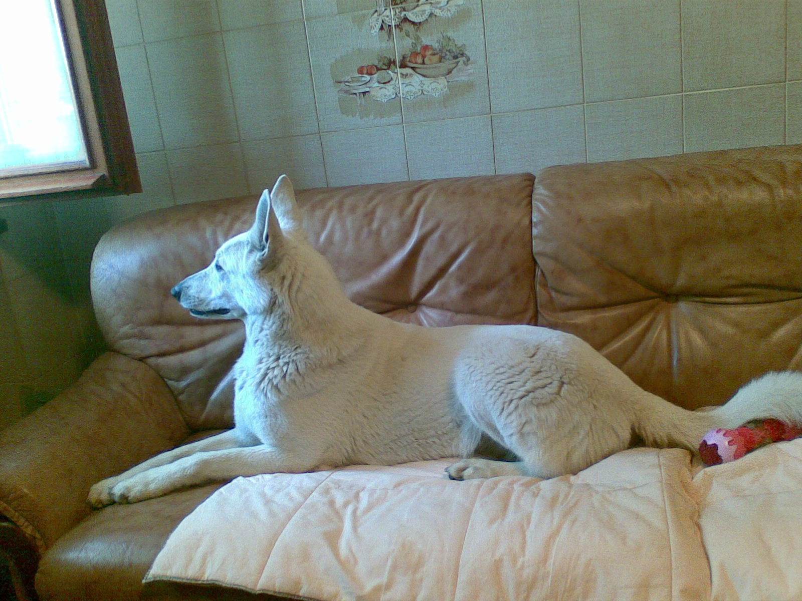 Elly a casa.jpg