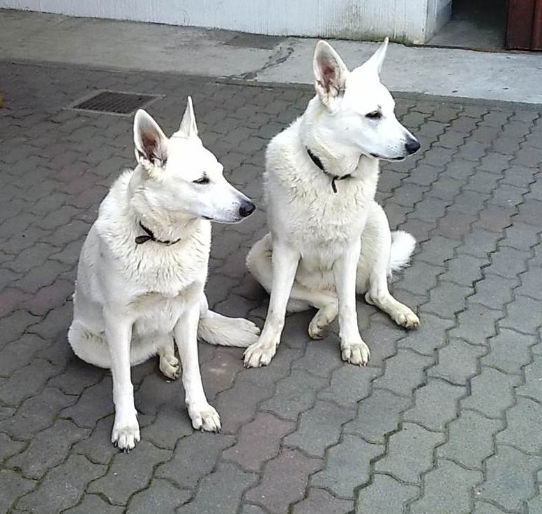 Elly & Leyla.jpg