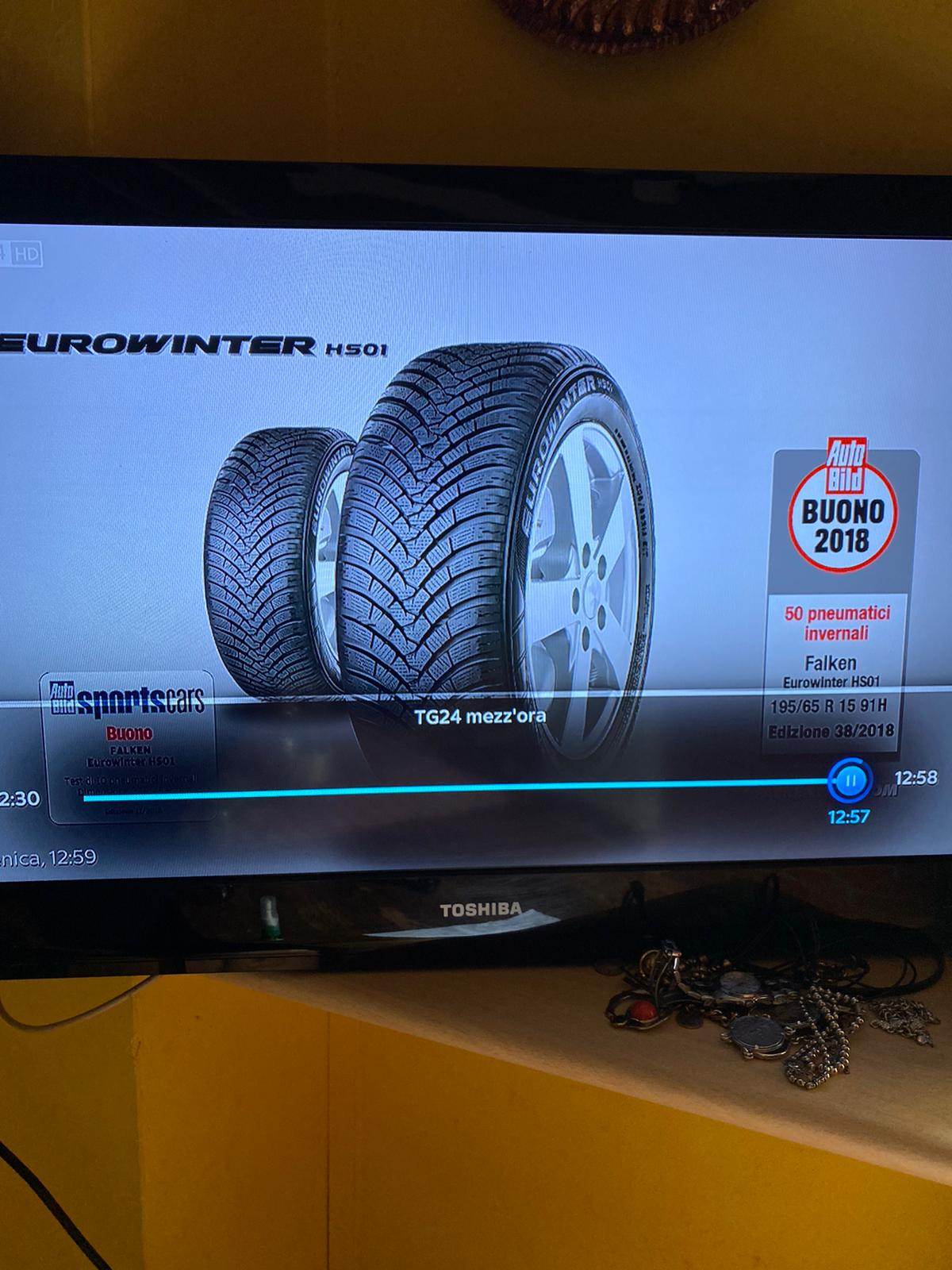 falken.jpg
