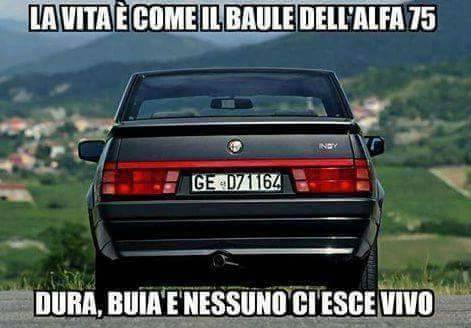 FB_IMG_1529439215762.jpg
