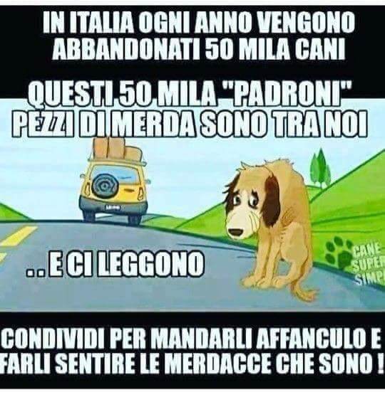 FB_IMG_1529602288832.jpg