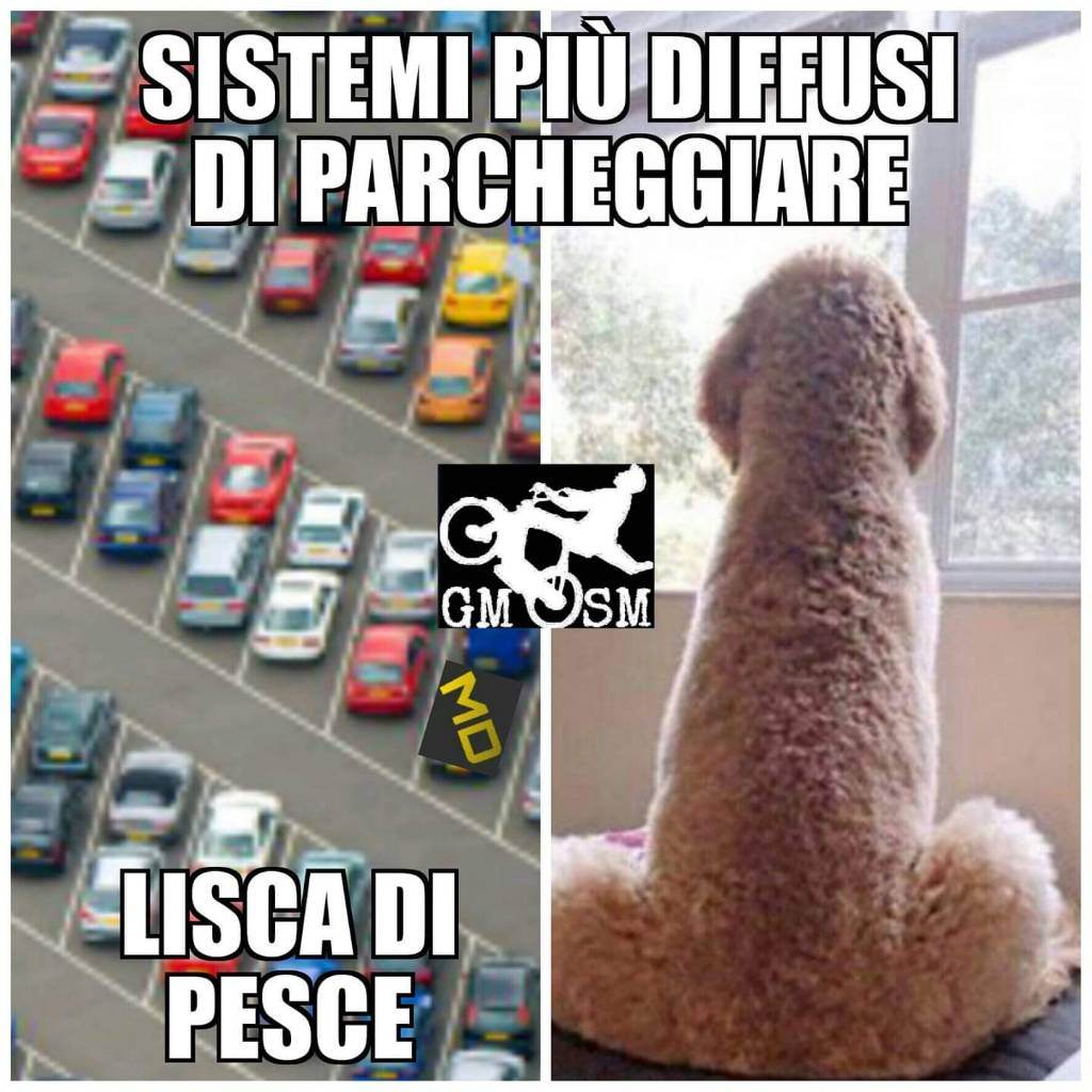 FB_IMG_1539939957504.jpeg