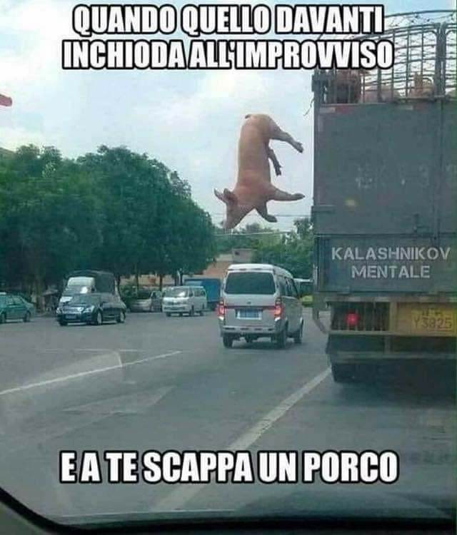 FB_IMG_1542135186661.jpeg