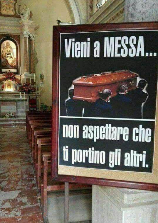 FB_IMG_1543738739575.jpeg