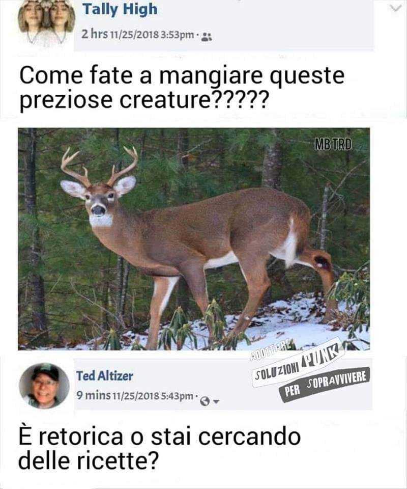FB_IMG_1543757954686.jpeg