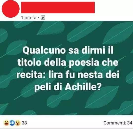 FB_IMG_1568196232916.jpeg
