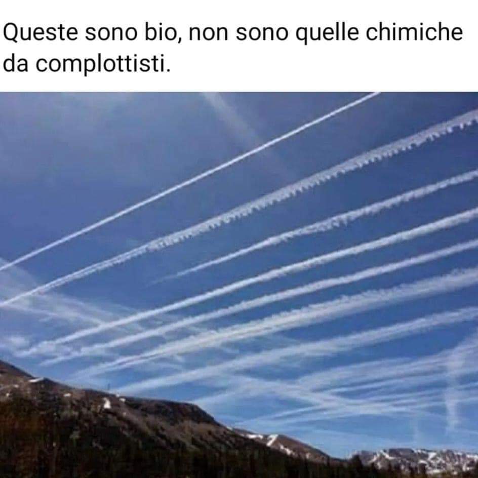 FB_IMG_1655054360289.jpg