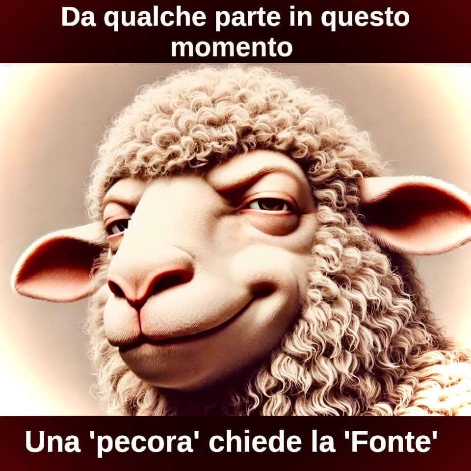 FB_IMG_1722884201209.jpg