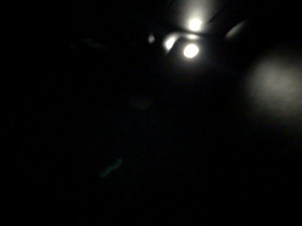 foto12.jpg
